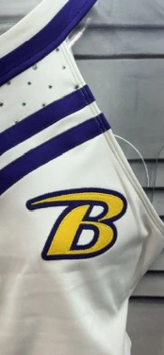 NFL Baltimore Ravens cheerleading uniform
